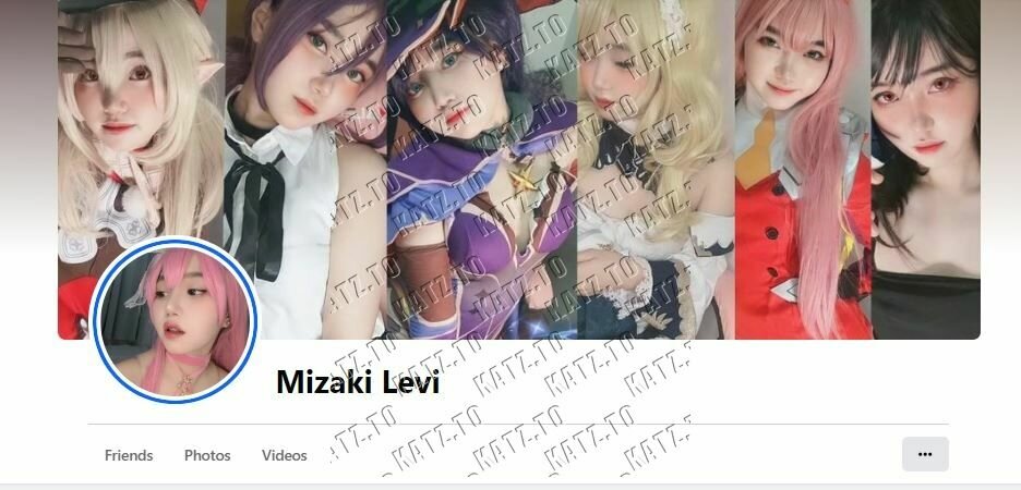 Mizakilevii2