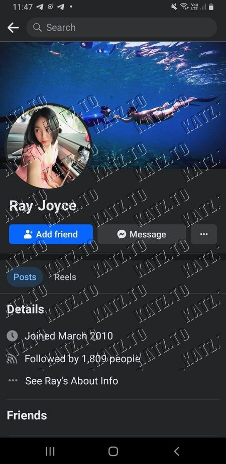 Ray Joyce   xpjnl 1